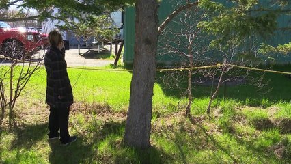 TOPO - Le bruit excessif d'une usine dérange un couple de Saint-Simon