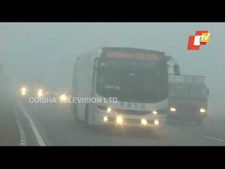 Cold Wave & Dense Fog Affect Normal Life In Ambala