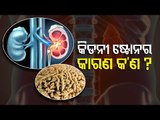Kidney Stone | Causes, Symptoms & Treatment | Dr Biswajit Nanda Explains