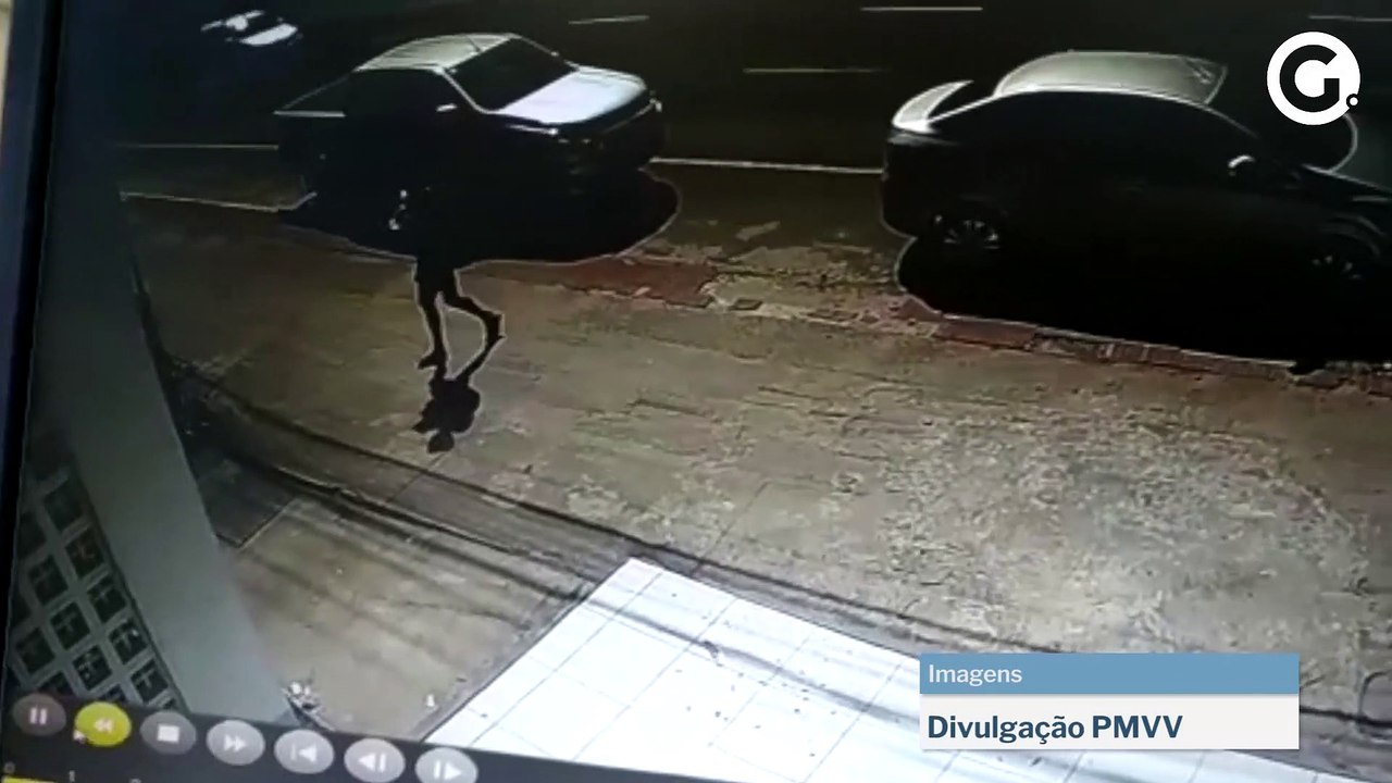 Guarda de Vila Velha prende homem acusado de furto de grade do Centro de Controle de Zoonoses