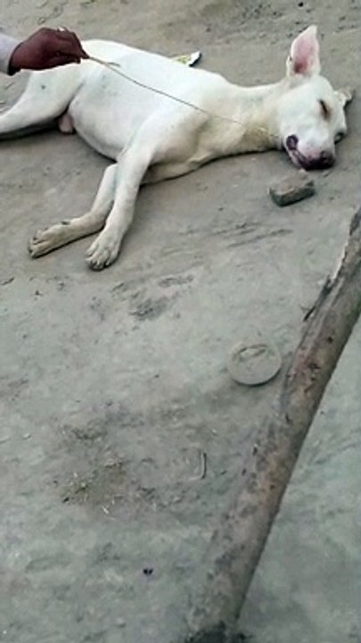 We're Still Here': On the Eve of the WNBA's 25th-Year Anniversary, the League Is Stronger Than Ever