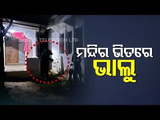 WATCH Bear Enters Temple In Nabarangpur
