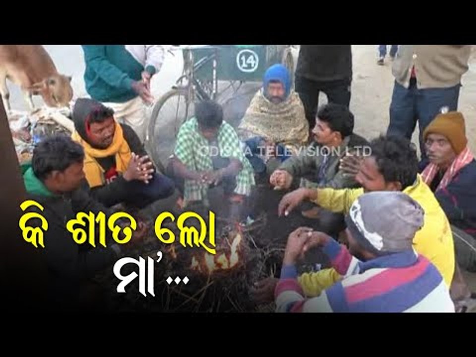 Special Story | Cold Wave Coupled With Dense Fog Disrupts Normalcy In Binika