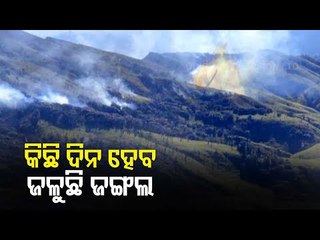 Massive Fire Breaks Out At Famous Dzukou Valley In Nagaland