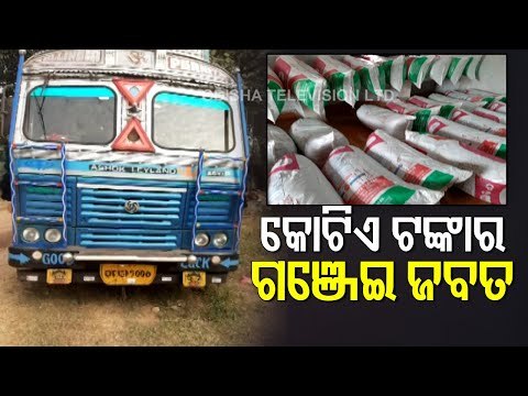 11 Quintal Ganja Worth Rs 55 Lakh Seized In Berhampur | Updates