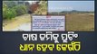 Illegal Plotting Poses Obstacles In Agricultural Activities For Jeypore Farmers