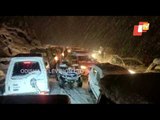 Hundreds Of Tourists Stranded At Solang-Nala-Manali Due To Heavy Snowfall