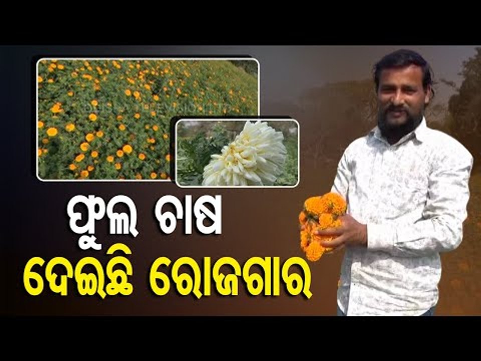 How Flower Farming Gaining Prominence In Odisha