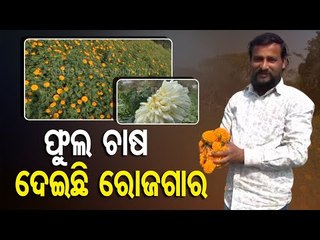 How Flower Farming Gaining Prominence In Odisha