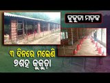 Bird Flu Scare | Mass Poultry Deaths At A Farm In Khordha Triggers Panic
