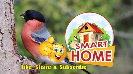 Beetroot Carrot Aloo Fry _ Healthy & Tasty Beetroot Bhaja _ Beetroot Bhaji