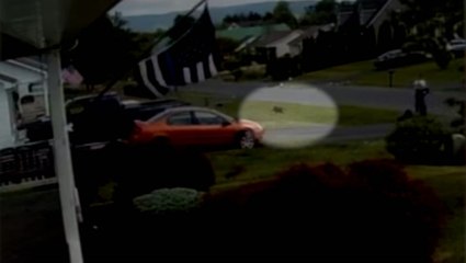 Dust devil picks up dog for an airborne spin