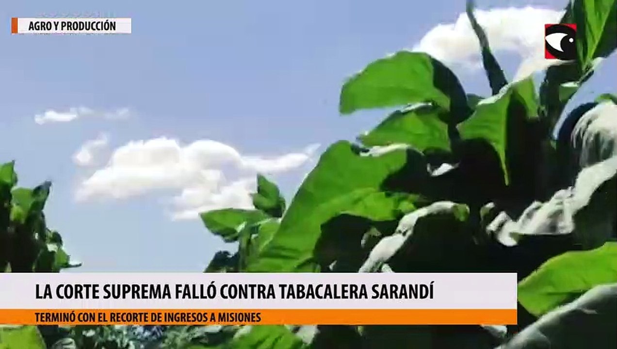 La Corte Suprema falló contra Tabacalera Sarandí y terminó con el recorte de ingresos a Misiones