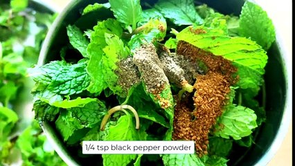 pudina chutney recipe