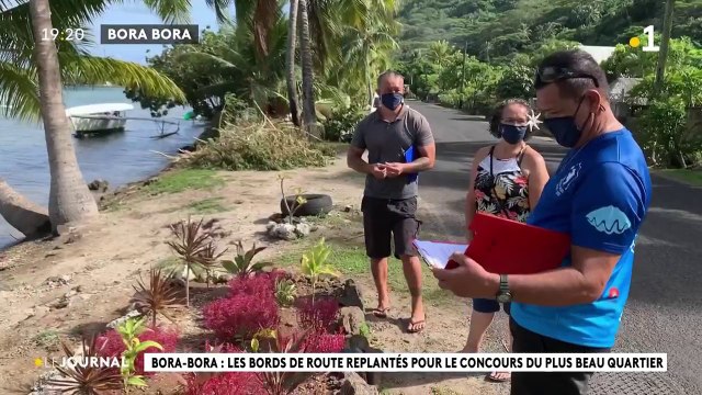 Bora bora : les bords de route replantés pour le concours du plus beau quartier