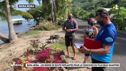 Bora bora : les bords de route replantés pour le concours du plus beau quartier
