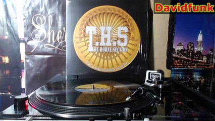 THE HORNE SECTION - true confusion (2016)