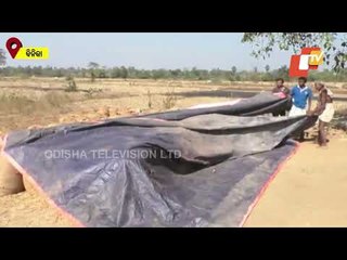 Farmer In Binika Accuses Odisha Govt Of Forcing Him Into Distress Sell