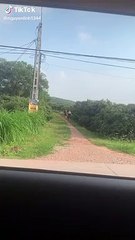 [Đời sống xã hội,gây tranh cãi] 80078