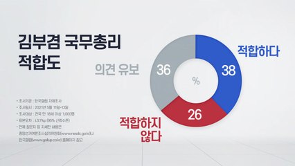 김부겸 국무총리 임명..."적합" 38％ vs "부적합" 26％ / YTN