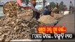 Dried Fish (Sukhua), A Delectable Non-Veg Delight-OTV Report From Basudevpur