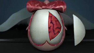 How Brain Operation Is Done Of Human Being In 3D