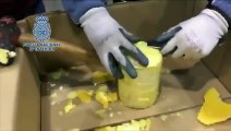 Cocaine : 745kg retrouvés dans des ananas