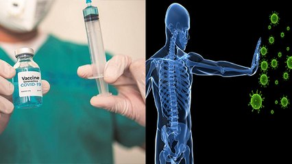 Corona Vaccine लेने से क्या सच में कुछ दिन के लिए शरीर की इम्यूनिटी कम हो जाती है? | Boldsky
