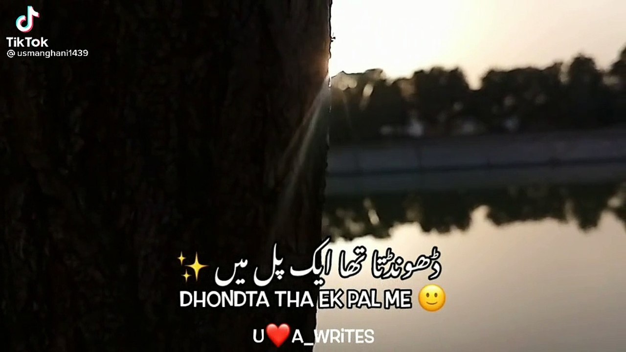 Dhondta Tha Ek Pal Me Dil Jese Ye 100 Dafa | WhatsApp Status