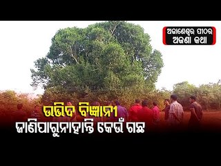 Mysterious Tree Worshipped At Ajaneswara Pitha In Bhubaneswar