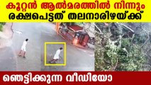 man narrowly escapes from fallen tree accident | Oneindia Malayalam