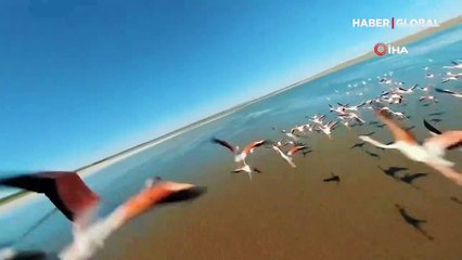 Flamingoların gözünden Düden Gölü izleyenleri büyüledi
