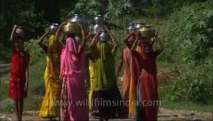 Carrying drinking water for miles in pots