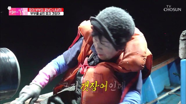 월척이구나~! 부부의 살림밑천 ☆효자 갯장어☆ TV CHOSUN 20210516 방송