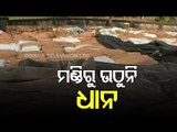 Irregularities In Paddy Procurement In Bargarh District