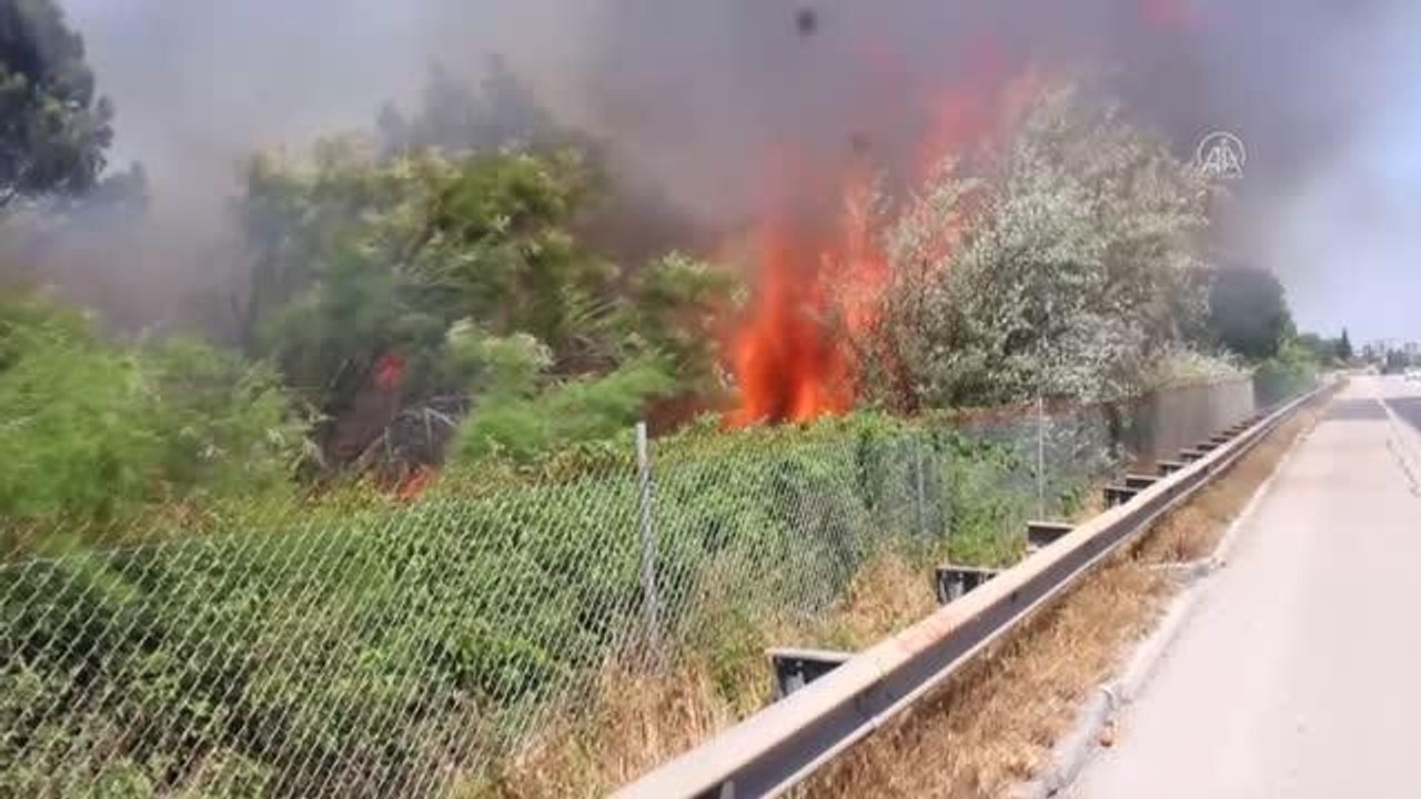 Son Dakika | Çukurova Üniversitesine ait ormanlık alanda çıkan yangın söndürüldü