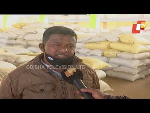 Paddy Procurement Suffers Massive Setback In Odisha