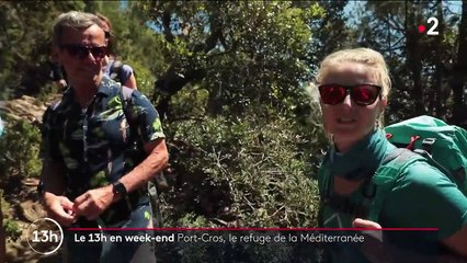 Méditerranée : destination Port-Cros, une île paradisiaque ultra-préservée