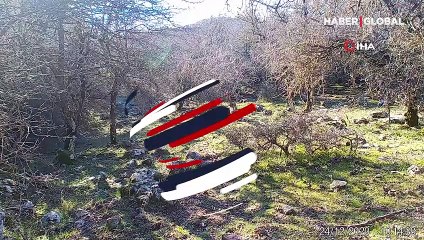 Uzun yıllar sonra İzmir'de görüntülendi