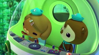 Octonauts - Two Turtles | Cartoons For Kids | Underwater Sea Education