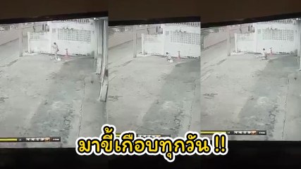 ญาติใครจัดการด่วน ! เปิดคลิปวงจรปิด โจรโรคจิตแอบขี้หน้าบริษัทเกือบทุกวัน