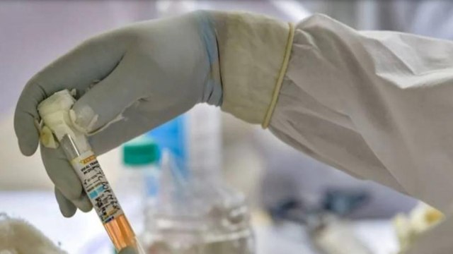 How effective is plasma therapy in covid-19 treatment?