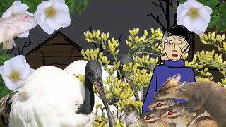 A Short Animation Film About Invasive Alien Species