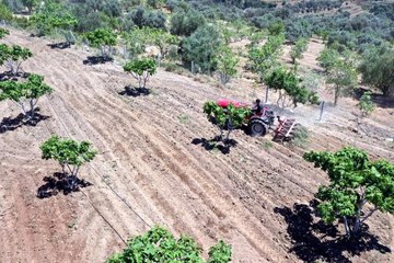 - Çiftçiler gününü tarlada çalışarak geçirdiler