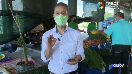 Pitahaya se produce en Atenas