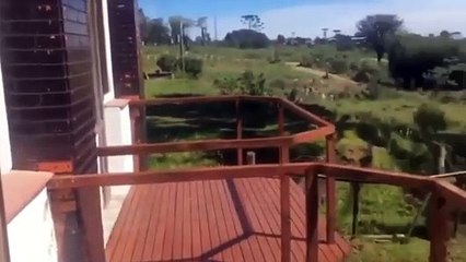 Shot on iPhone meme (8)