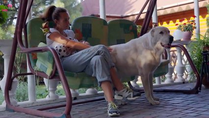 Dog Barks At Babysitter, So Mom Hides Camera In Hair