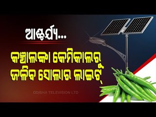 Special Story | Solar Light From Green Chillies