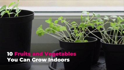 10 Fruits and Vegetables You Can Grow Indoors