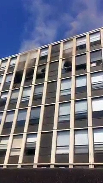 Un chat se jette du 5e étage d’un immeuble en feu
